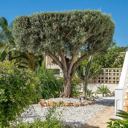 Casa Iris